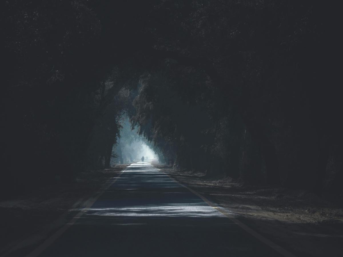 Shallow Grave – Mělký&nbsp;hrob